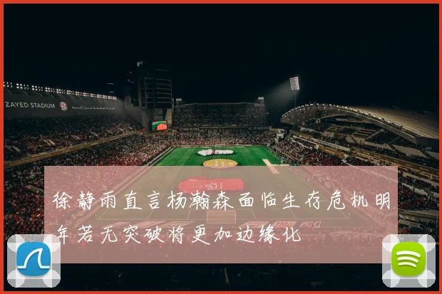 徐静雨直言杨瀚森面临生存危机明年若无突破将更加边缘化