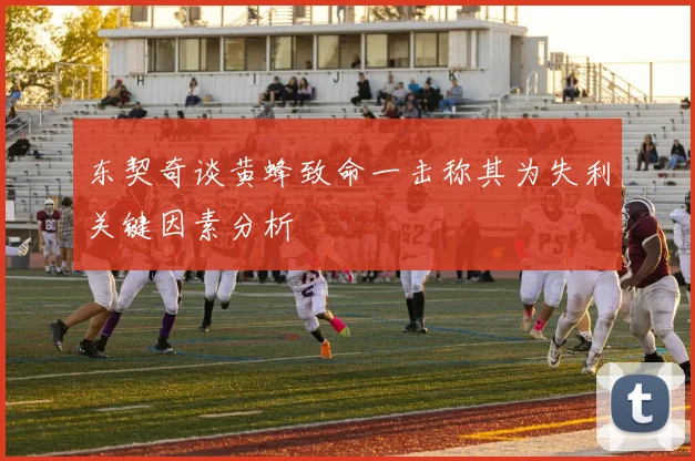 东契奇谈黄蜂致命一击称其为失利关键因素分析